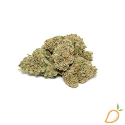 Heartland Farms XJ-13