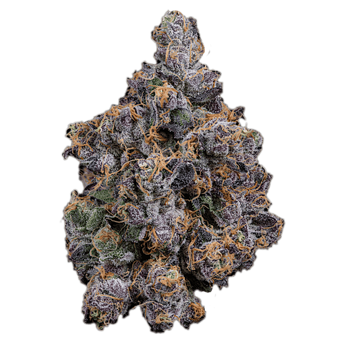 biscotti-strain