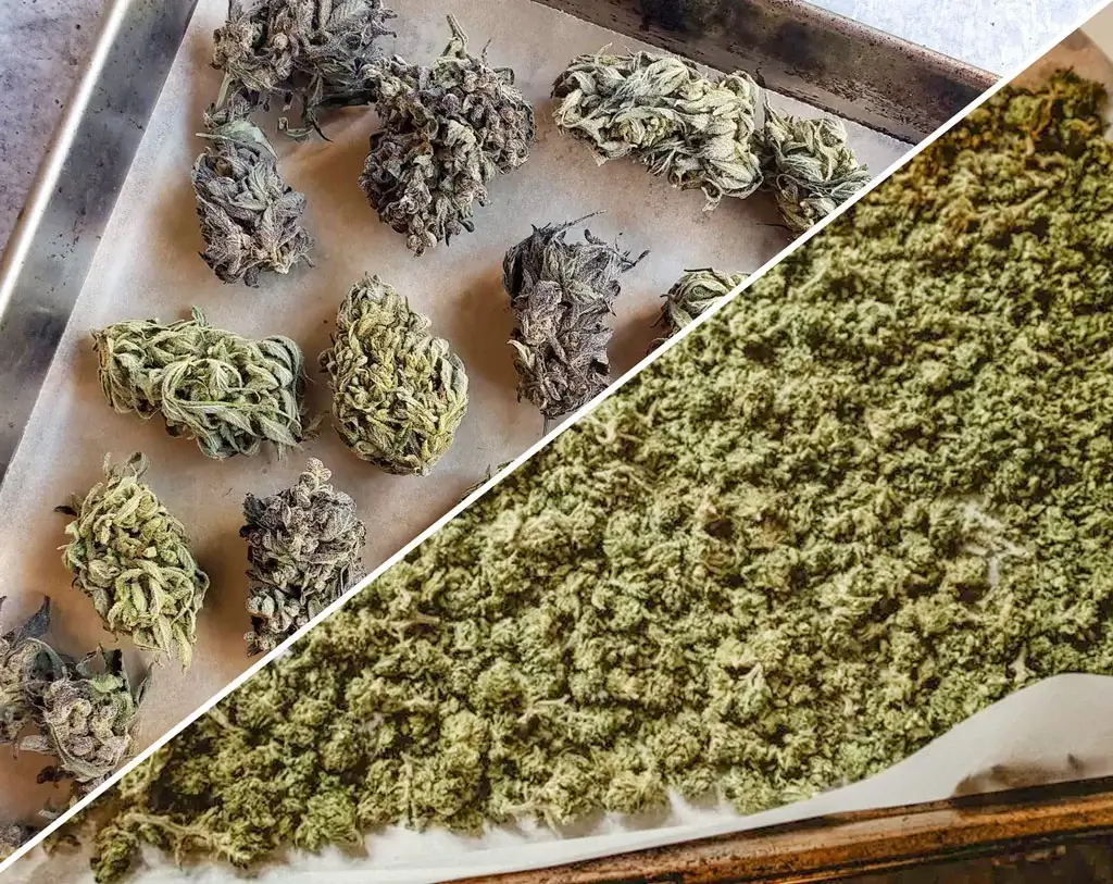 decarboxylation