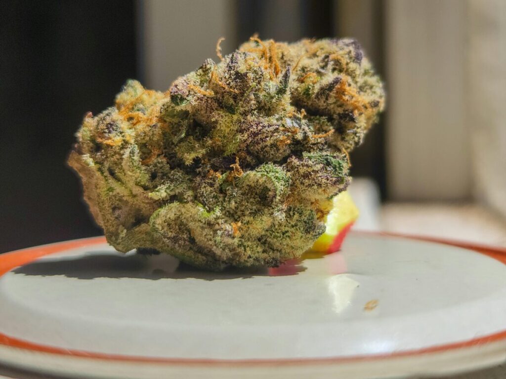 flower-buds