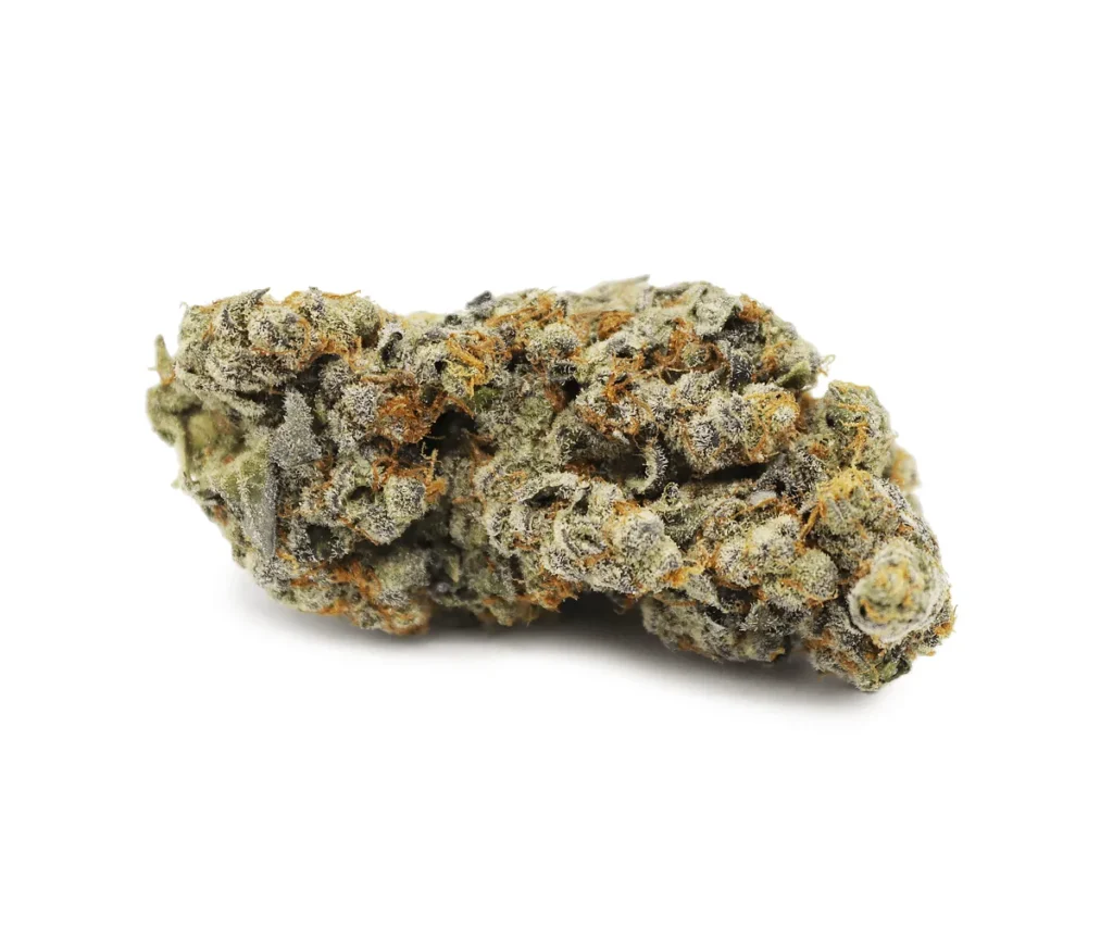 gelato-strain