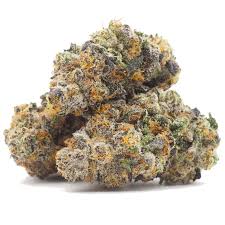 grape-gas-strain