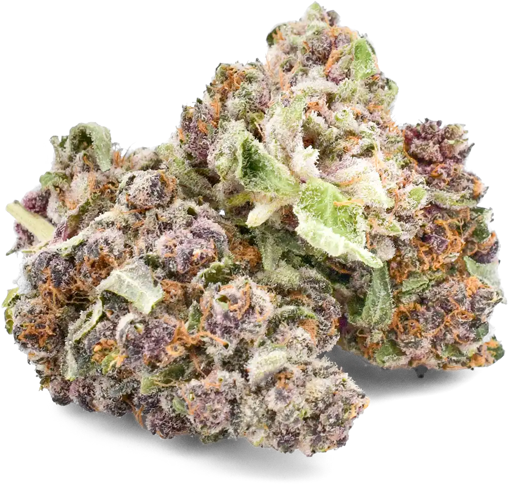 indica-flower