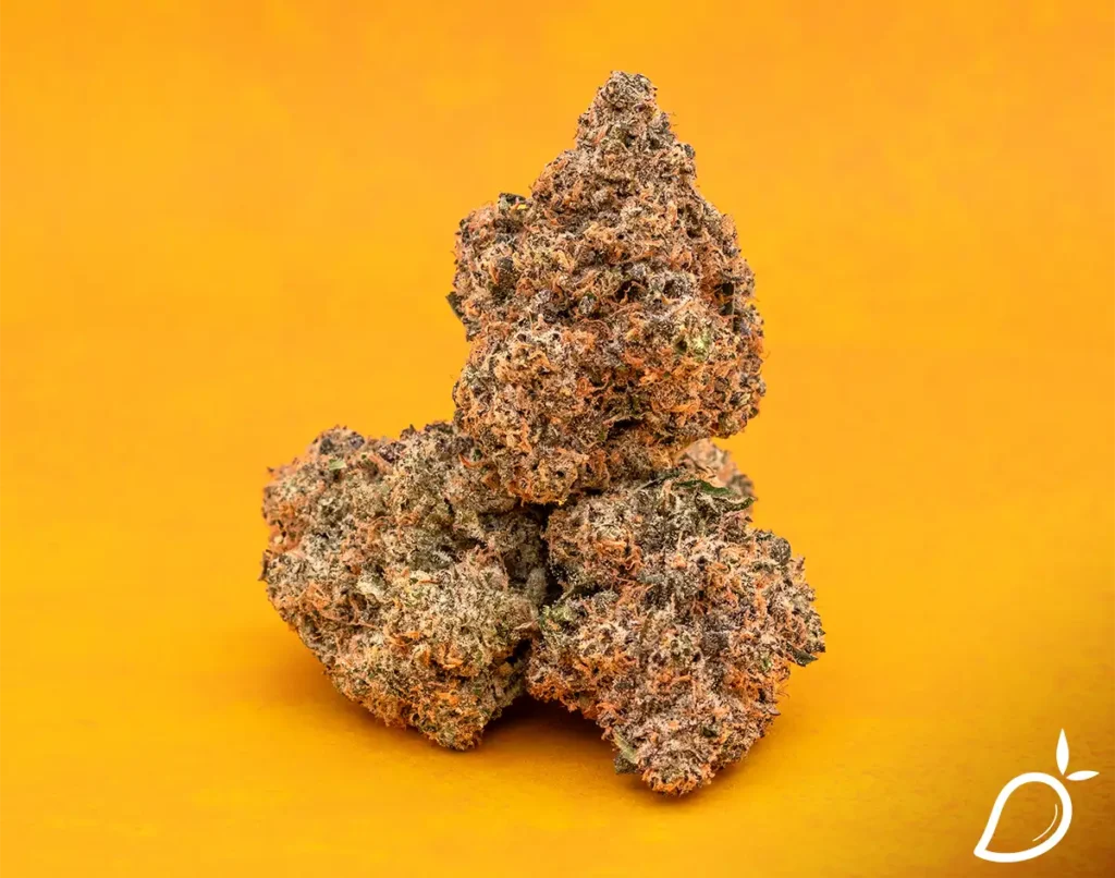 is-weed-legal-in-el-paso