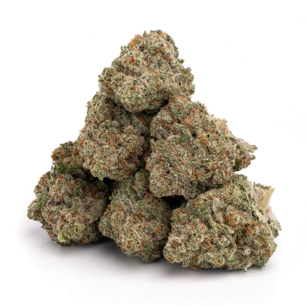 jack-herer-strain