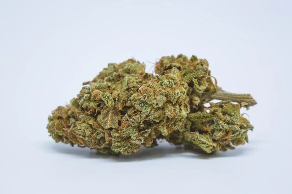 jet-fuel-strain