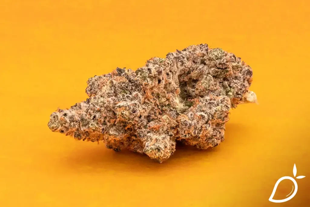 kush-mints-strain