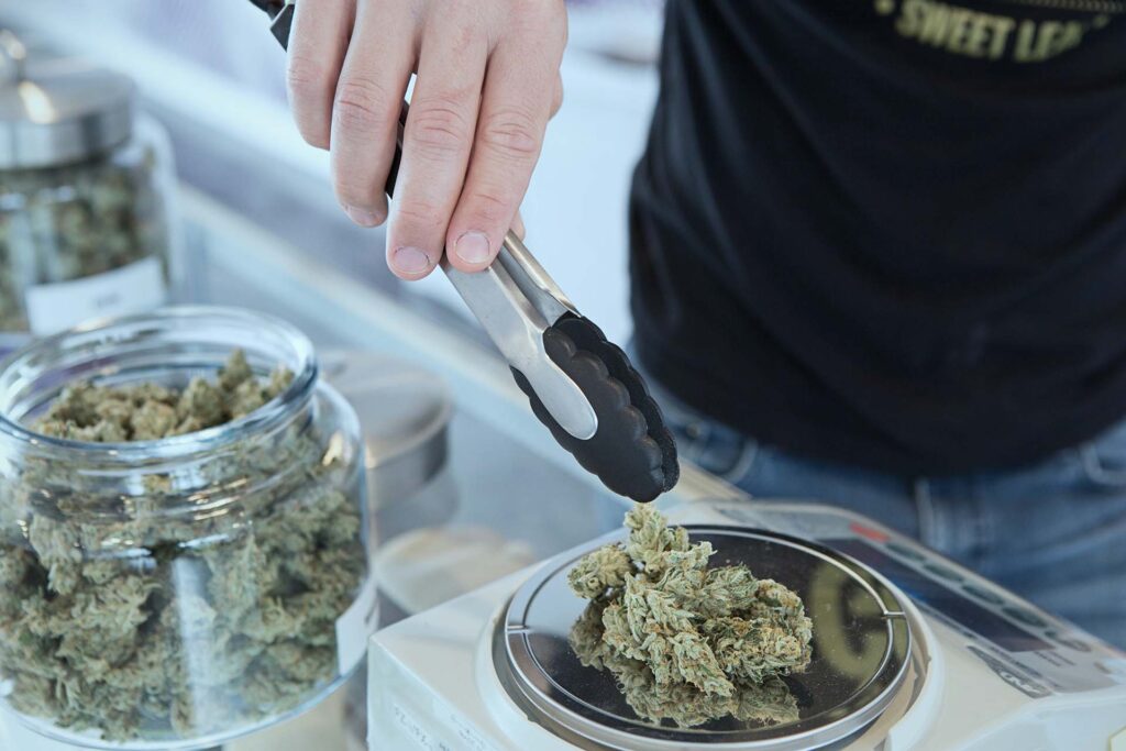 new-mexico-legalization-weed