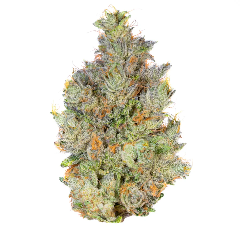 og-kush