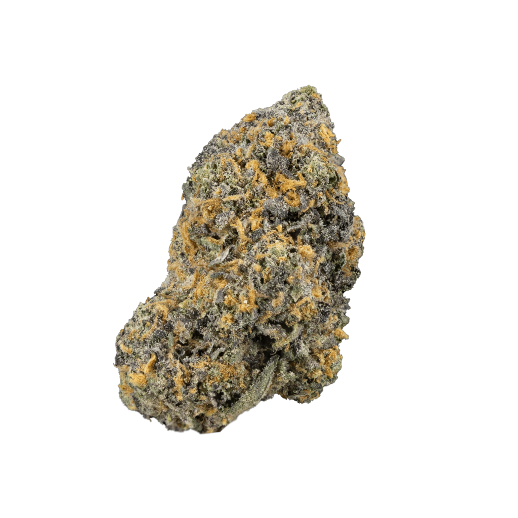 rs11-strain