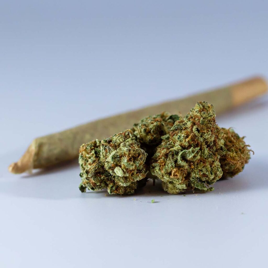 sativa-vs-indica-for-nerve-pain
