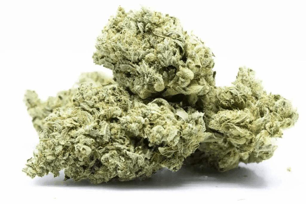 white-truffle-strain