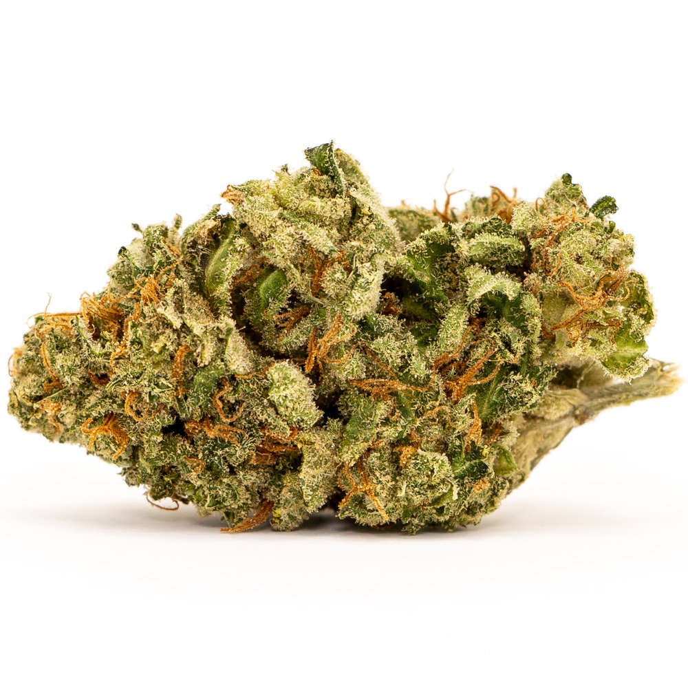 white-widow-strain